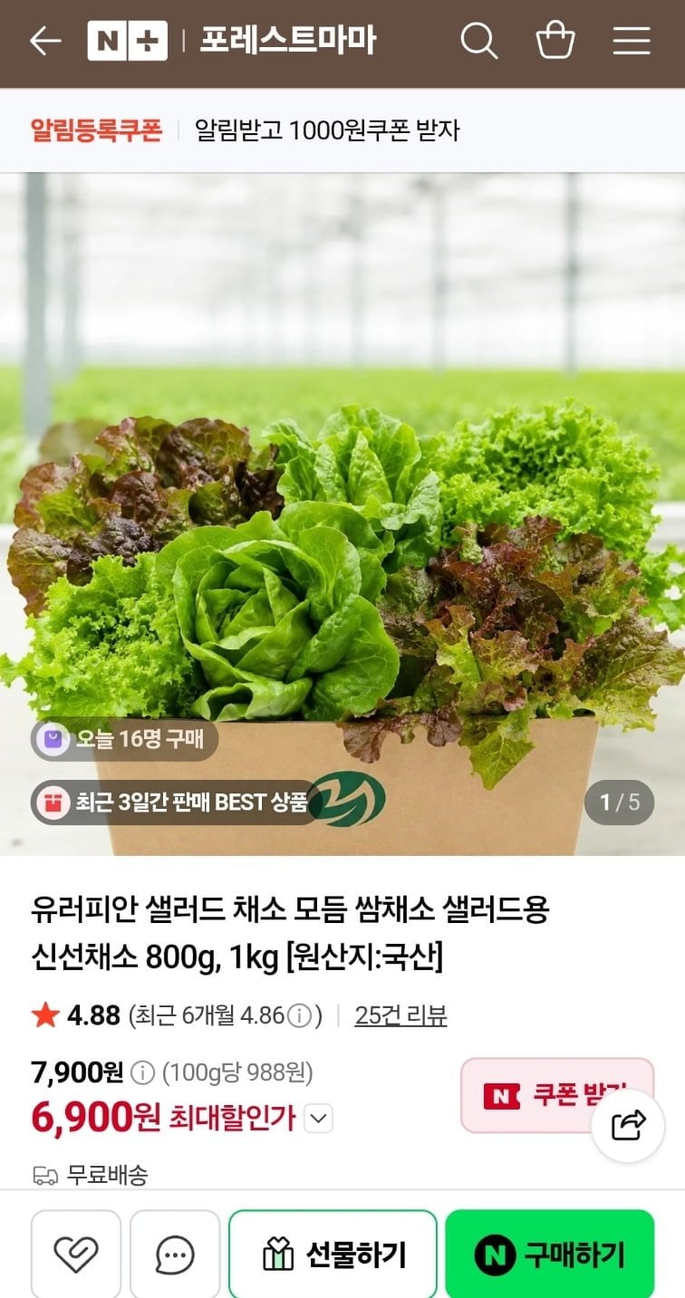유러피안 샐러드 채소 모듬 쌈채소 샐러드용 신선채소 800g (6,900원/무료)