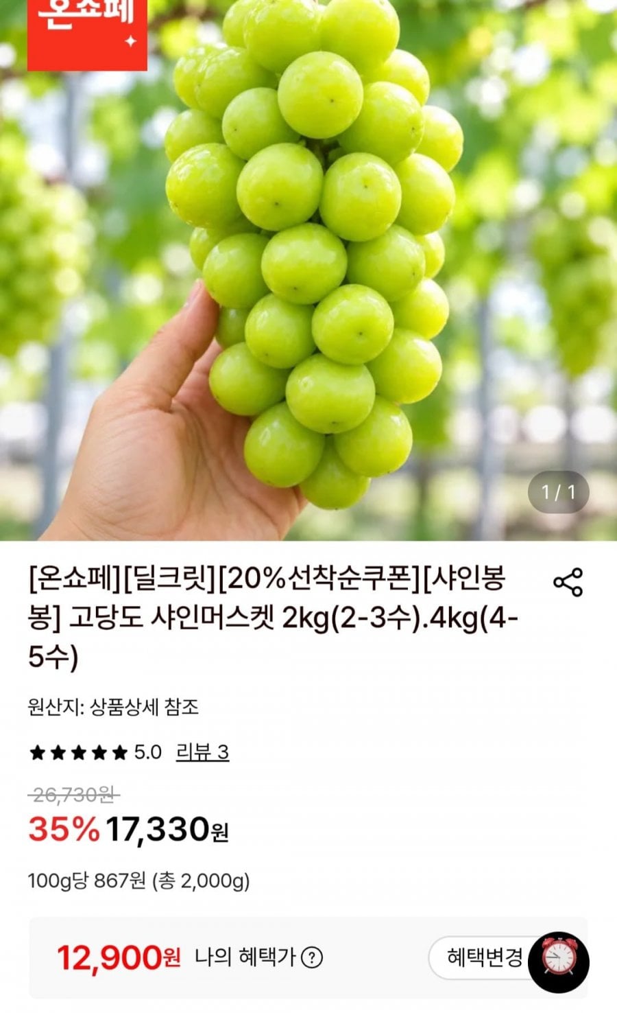 고당도 샤인머스켓 2kg(2-3수) (12,900원/무료)