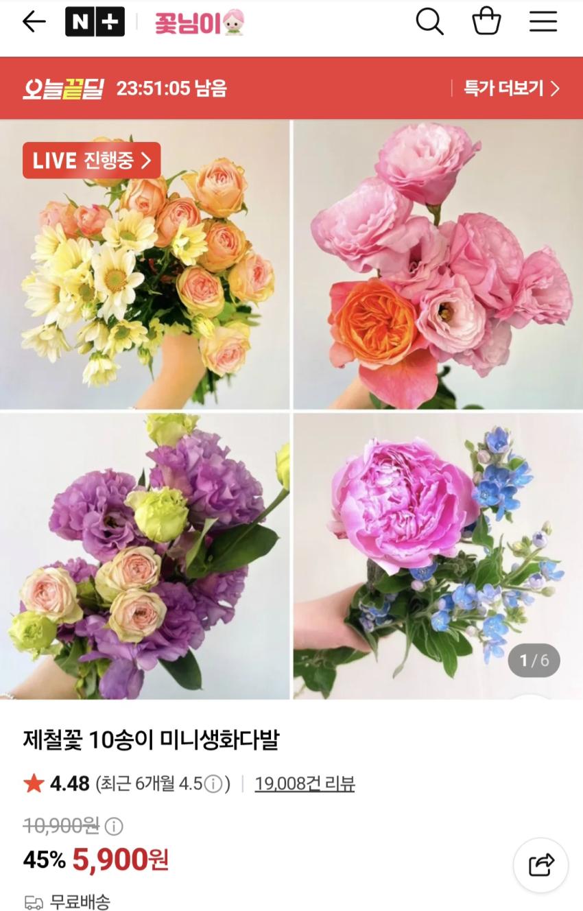 제철꽃 10송이 미니생화다발, 5900원