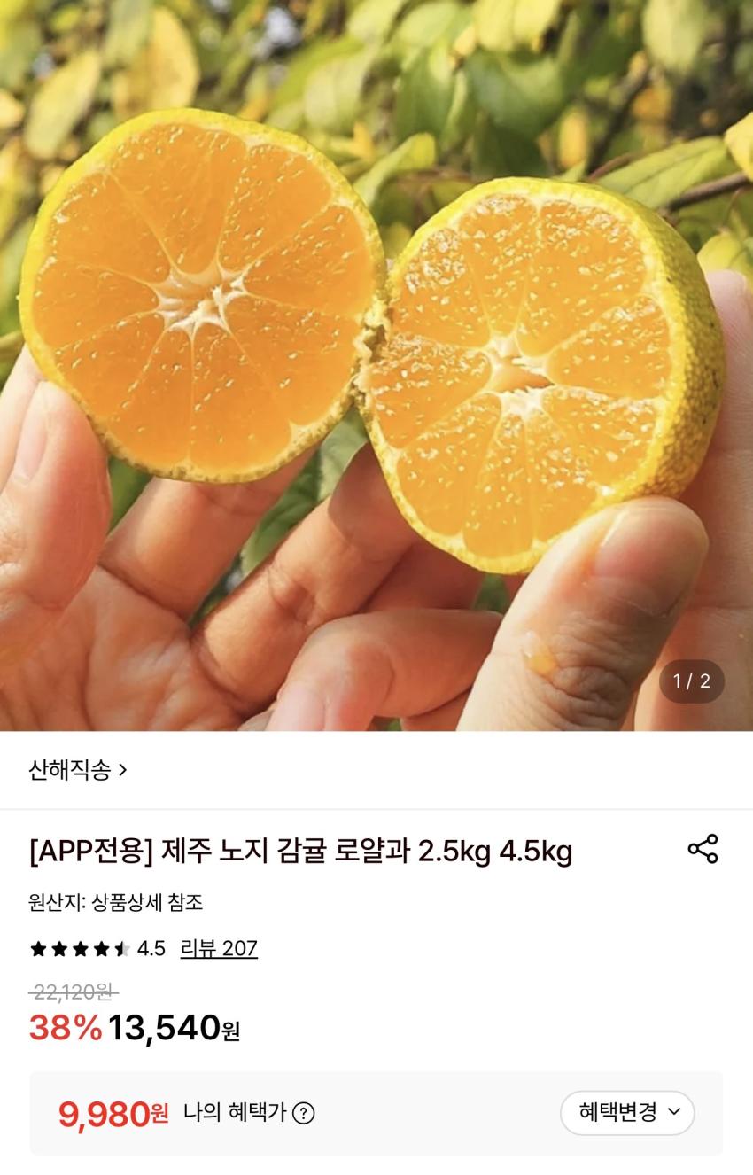 제주 노지 감귤 로얄과 4.5kg 9,980원