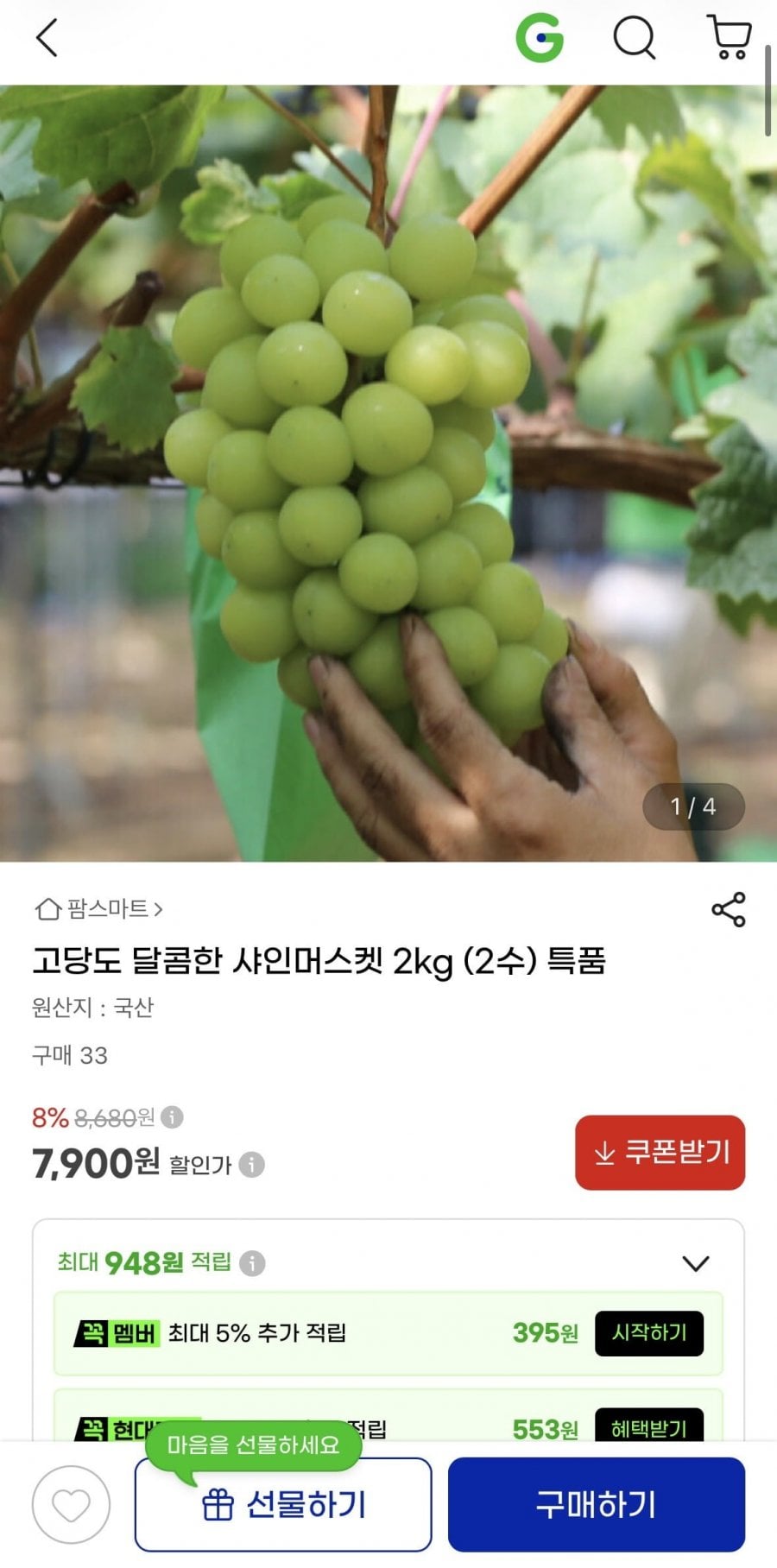 샤인머스켓 2kg 고당도 특품 2수 (7,900원/무료)