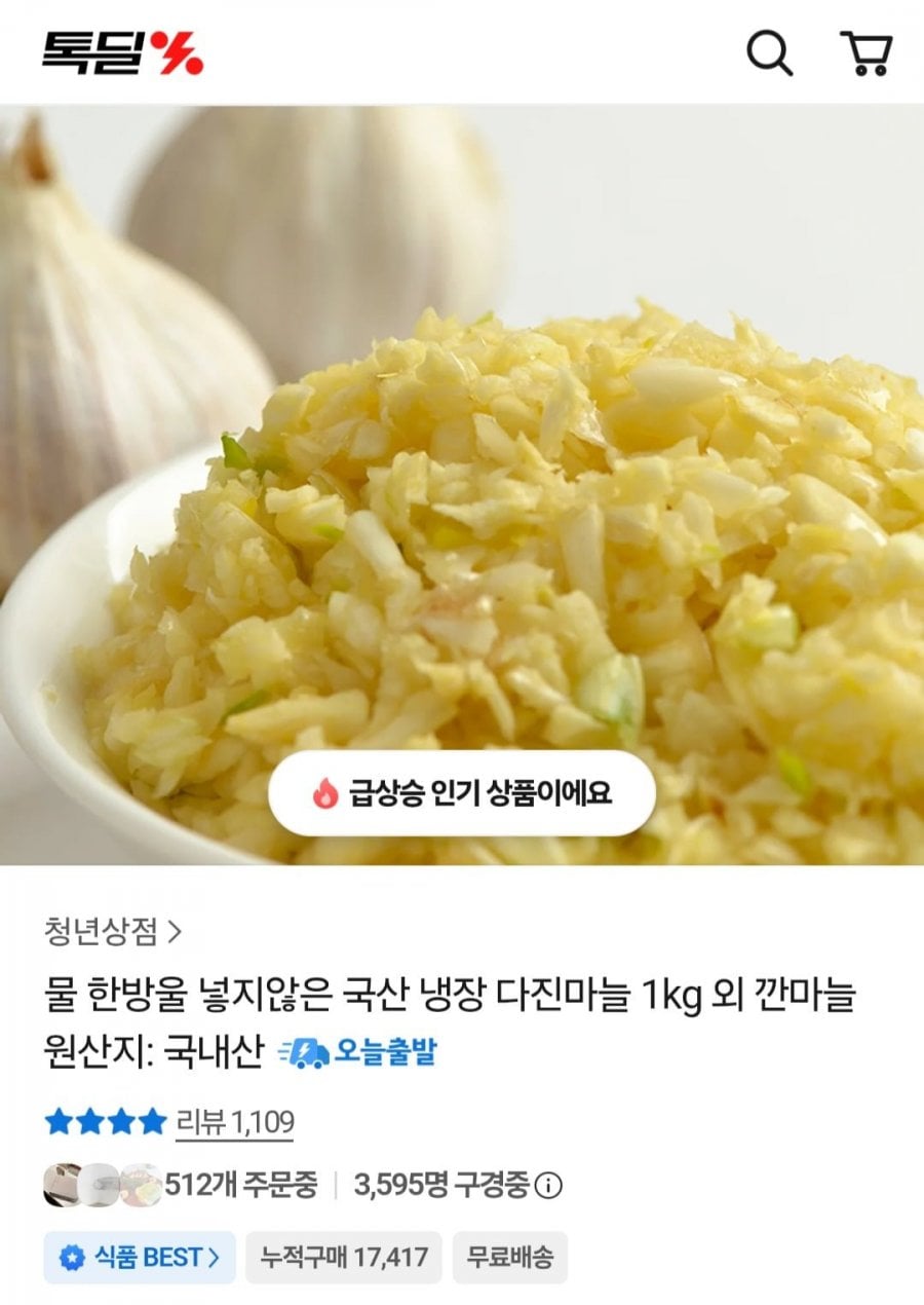 국내산 냉장 다진마늘 1kg (8,790원 / 무료)