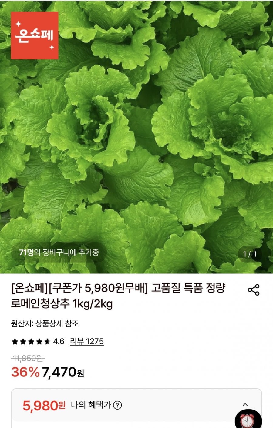 정량 로메인청상추 1kg (5,980원/무료)