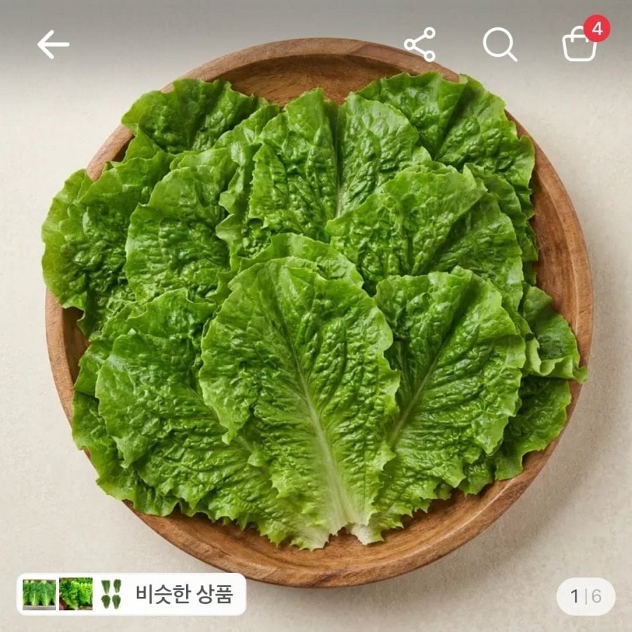 청상추 2kg (5,900원/무료)