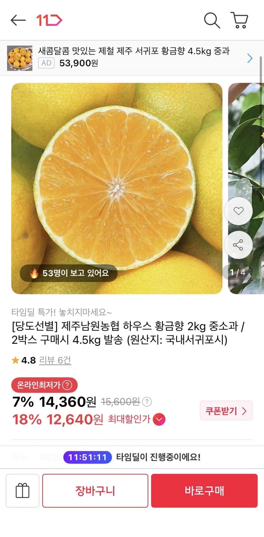 제주남원농협 하우스 황금향 2kg (12,640원/무배)