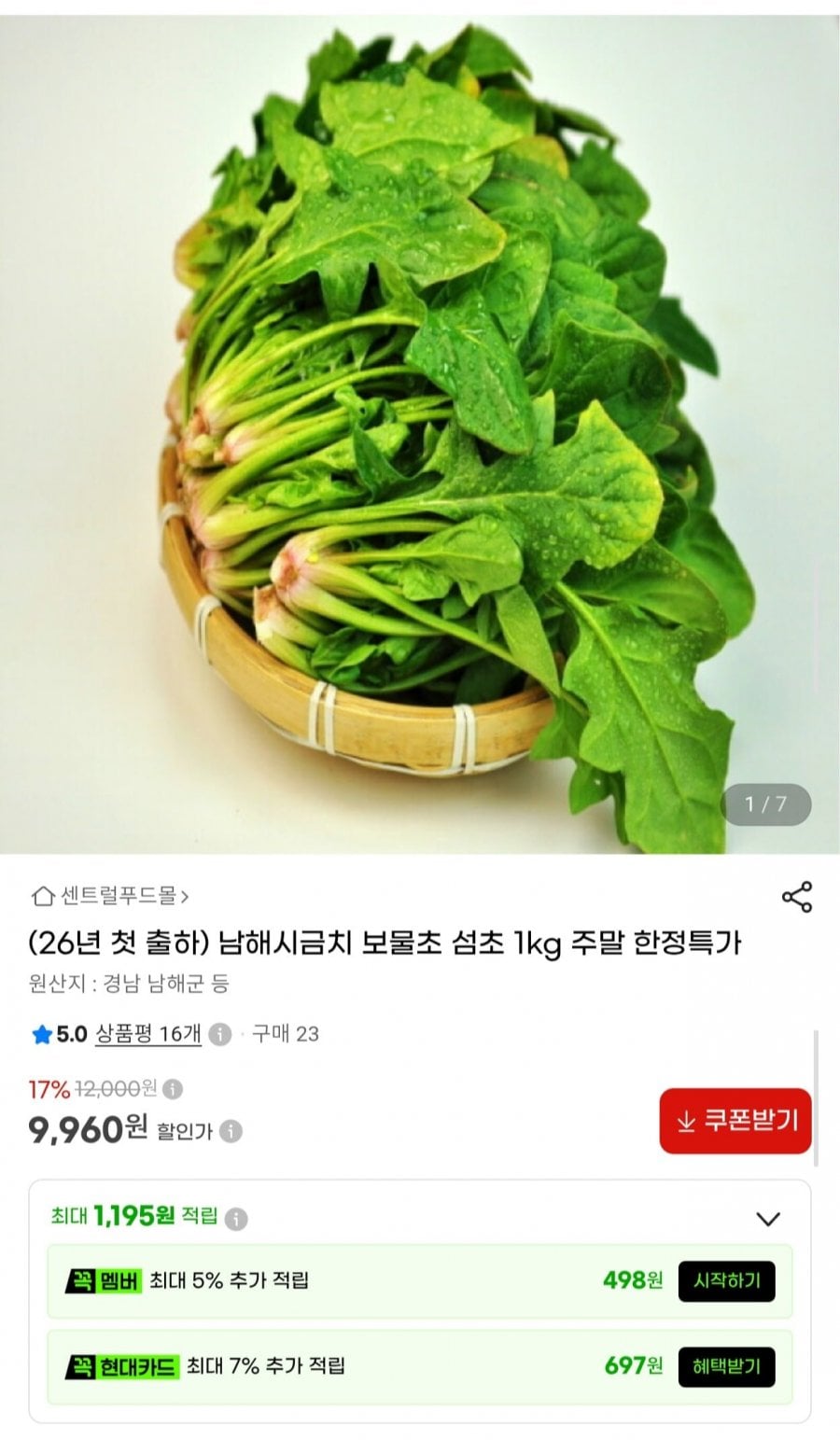 26년 첫 출하 남해 보물초 시금치 1kg (9,960원/무배)