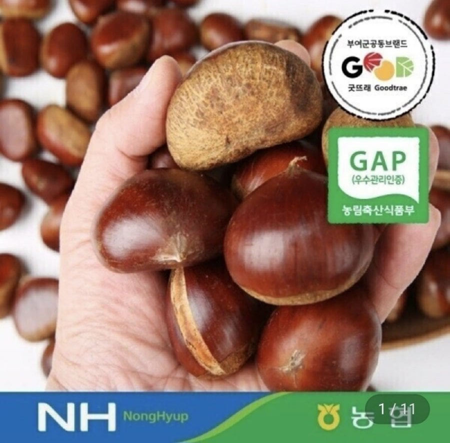26년 부여 밤 햇 알밤1kg(특사이즈) GAP(7,990원/무료)