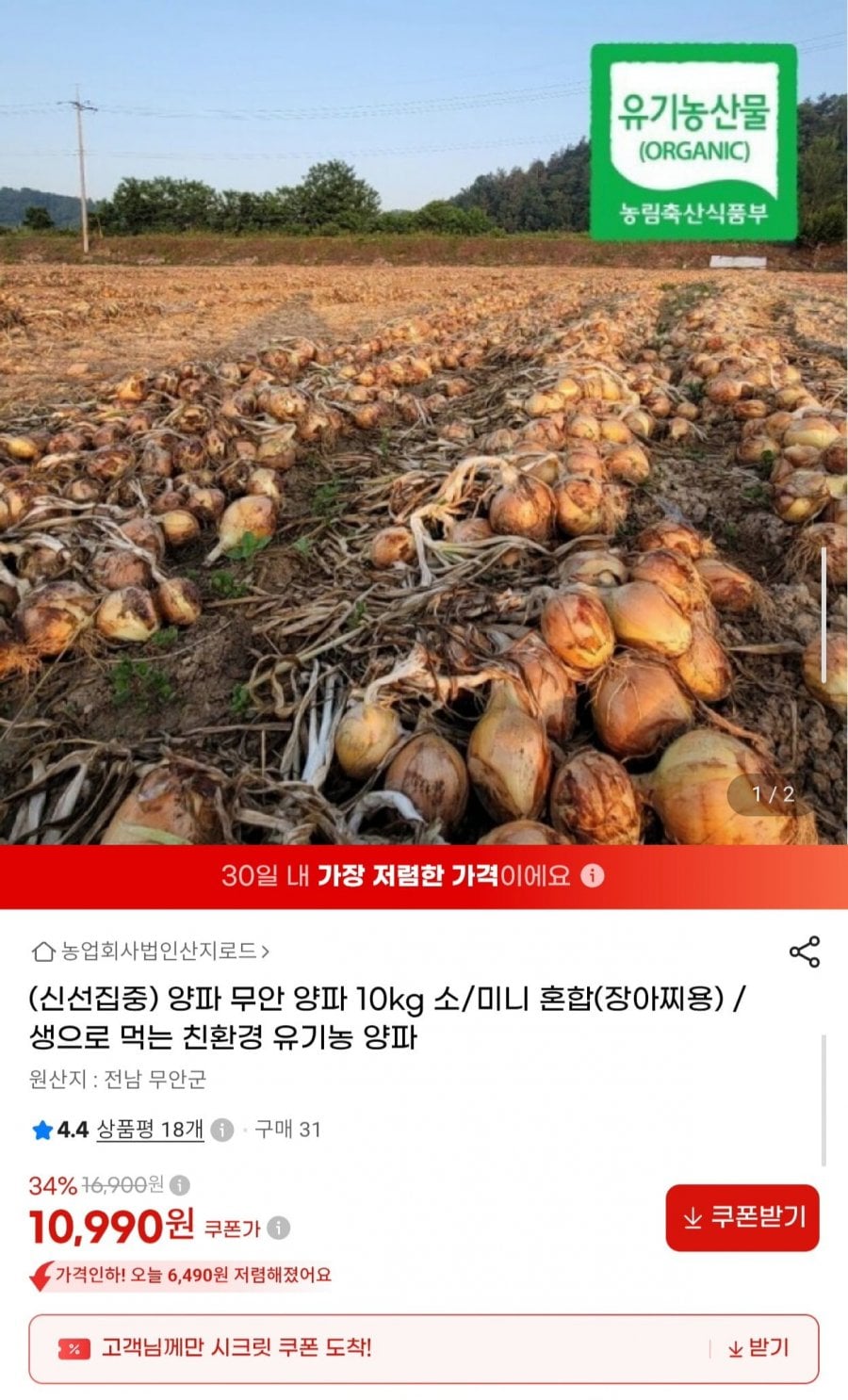 친환경 양파 10kg 소미니 혼합 장아찌용 (10,990원/무배)