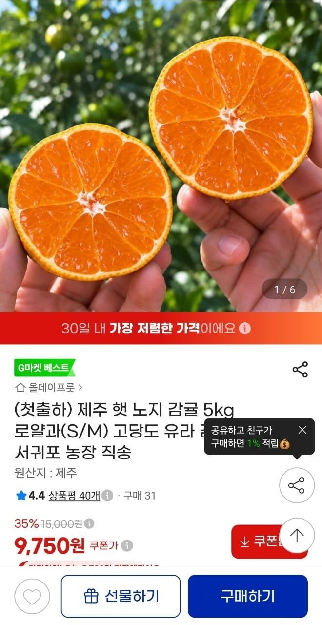 제주 햇 노지감귤 5kg 로얄과 (9,750/무배)