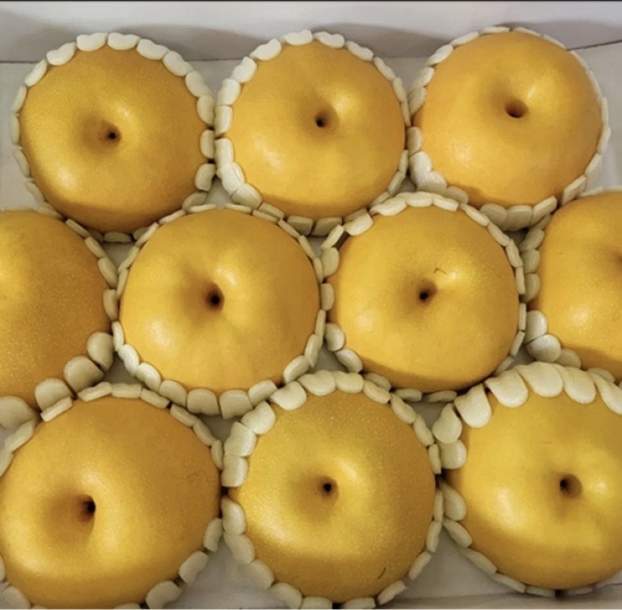 나주 가정용배 5kg (12,900원/무료)