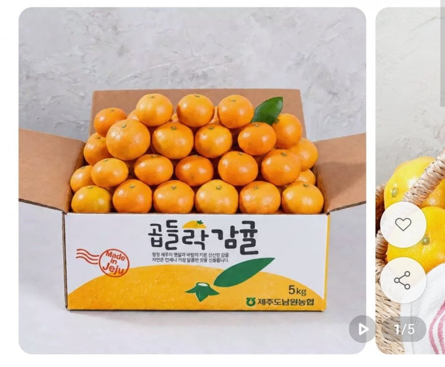 제주남원농협 노지 감귤 4.5kg 소과 (9,720원/무료)