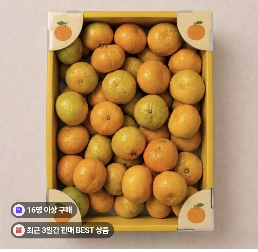 제주 극조생귤10kg (11,900원/무료)