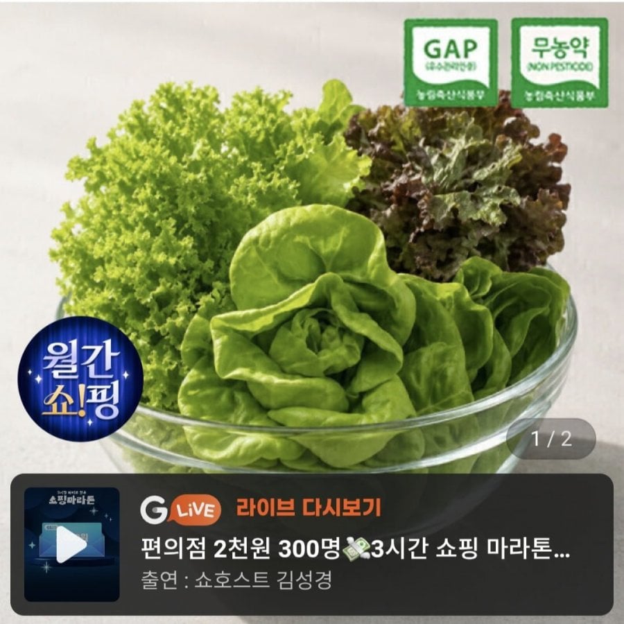 무농약 부여 유러피안 샐러드 유럽 채소 1kg (5,980원/무배)