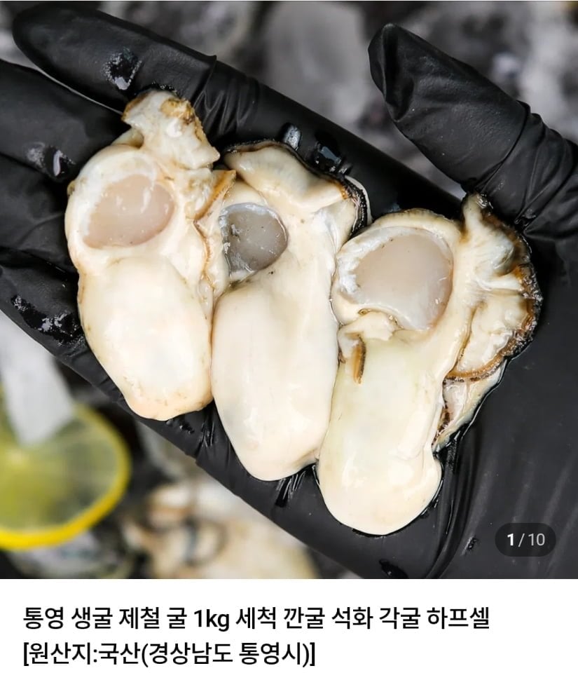 통영 생굴 1kg 9,440원 (9,440원/네멤무료)