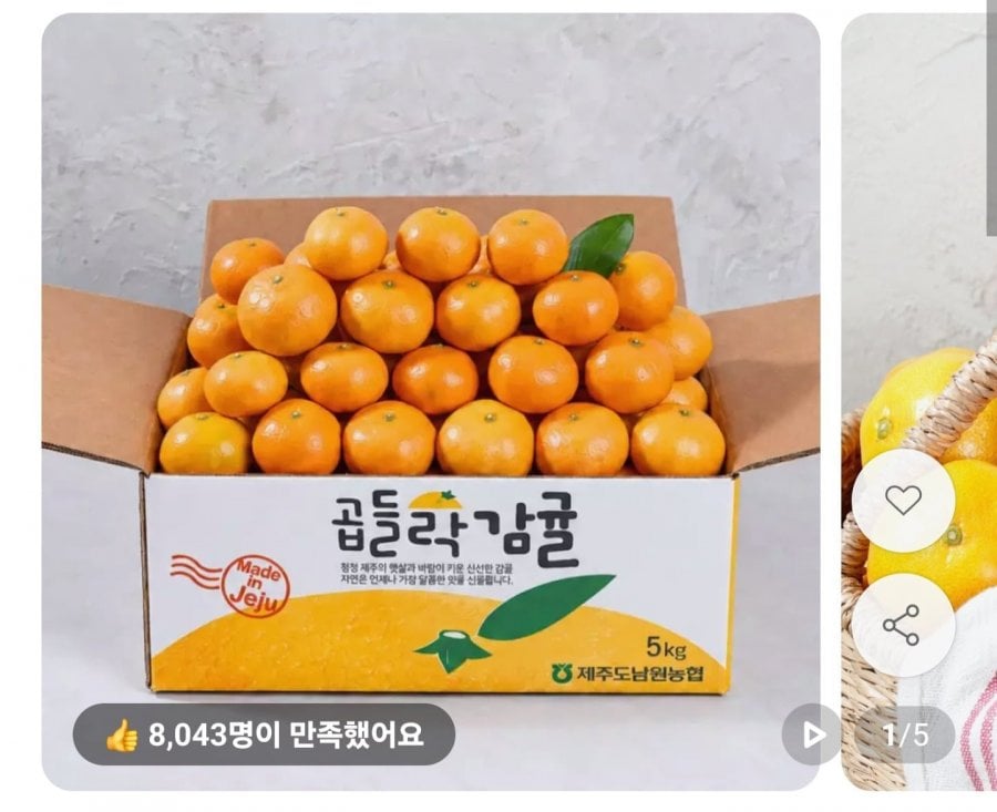 제주 노지 감귤 4.5kg 소과 (9,720원/무료)