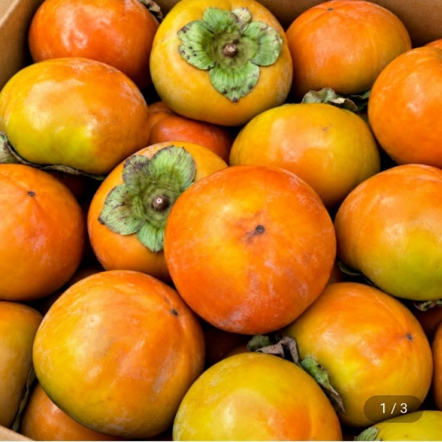 고당도 햇단감 혼합과 5kg (13,950원/무료배송)