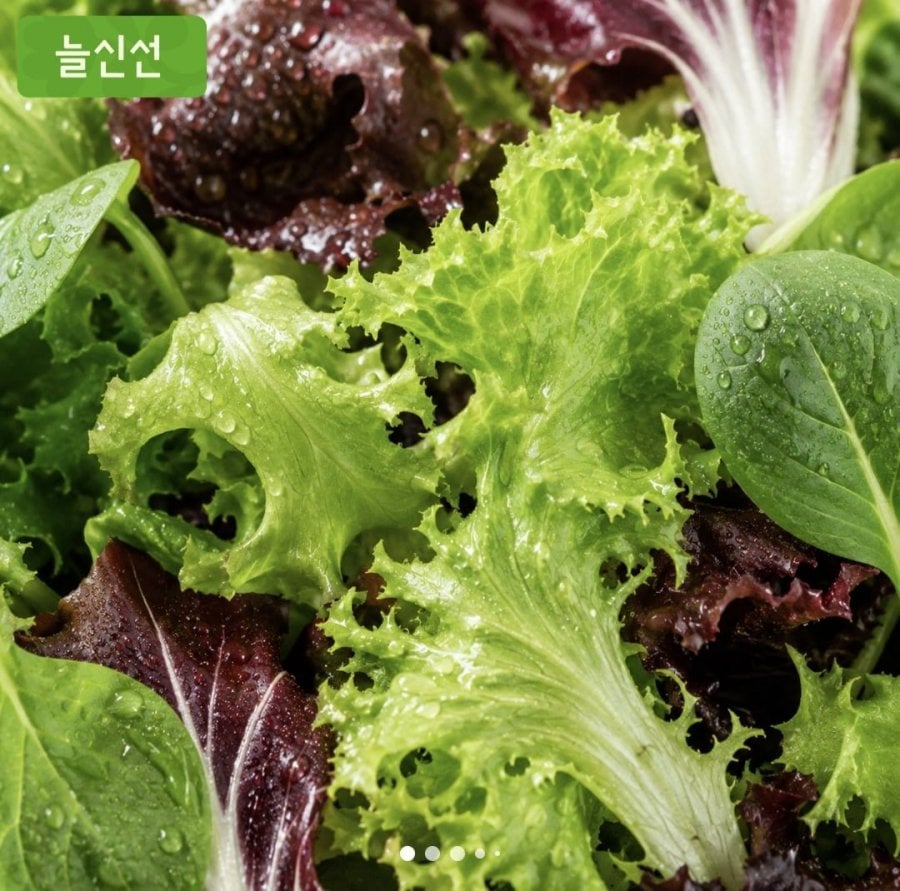 무농약 GAP 유러피안 샐러드 채소 1kg(5,967원/무료배송)