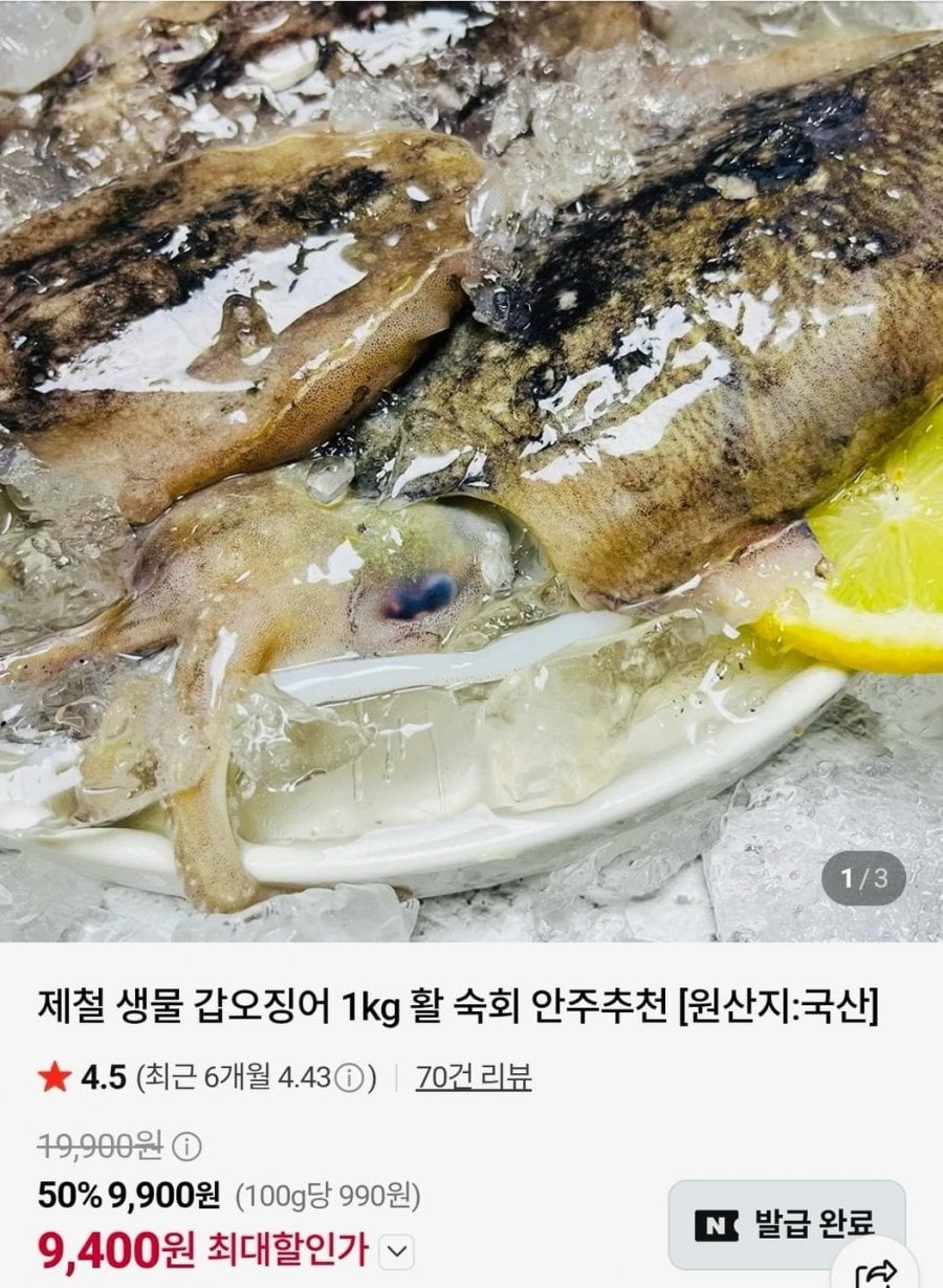 제철 생물 갑오징어 1kg (9,400원/4,000원)