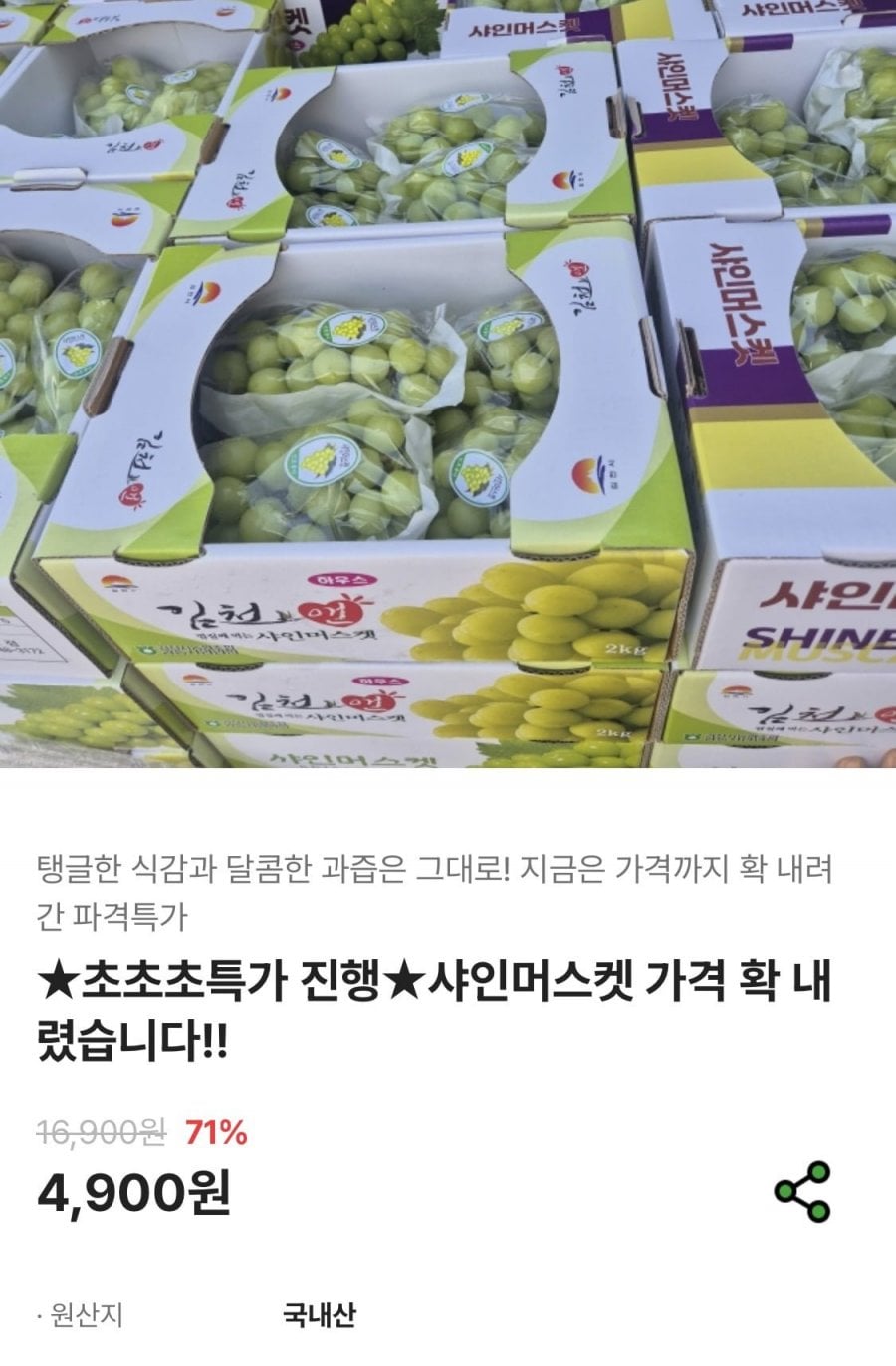샤인머스켓 2kg 5수 (4,900원/무료)