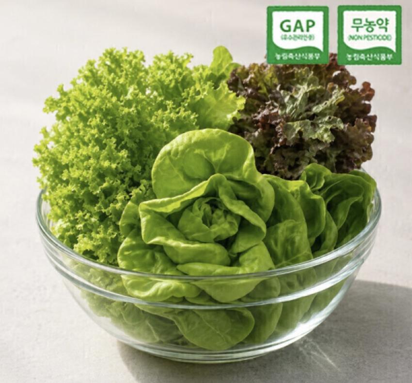 200개 한정) 유럽 샐러드 채소 1kg ₩5,980