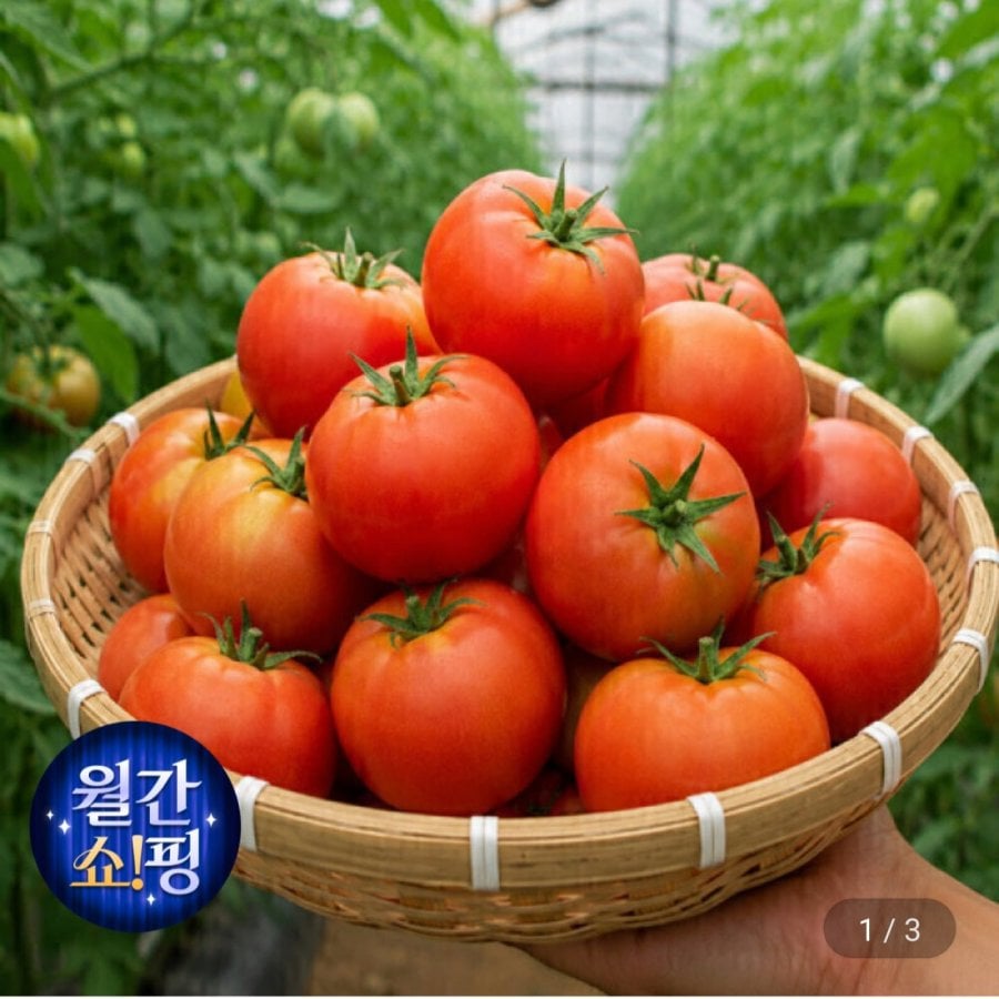 완숙토마토 4kg 쥬스용 (10,210원/무료)