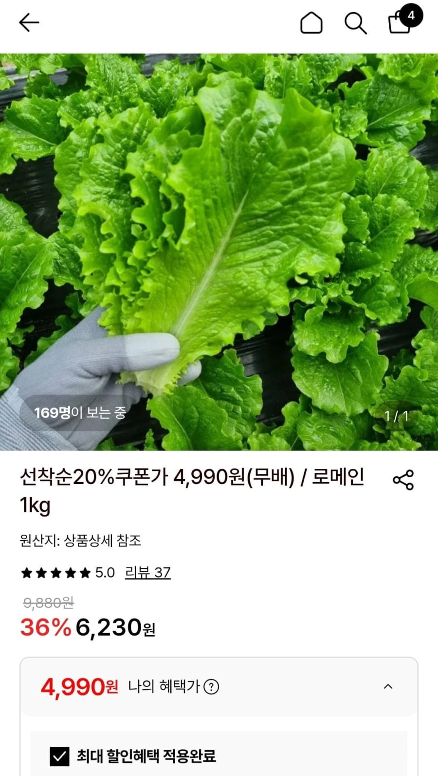 로메인청상추 1kg (4,990원/ 무배)