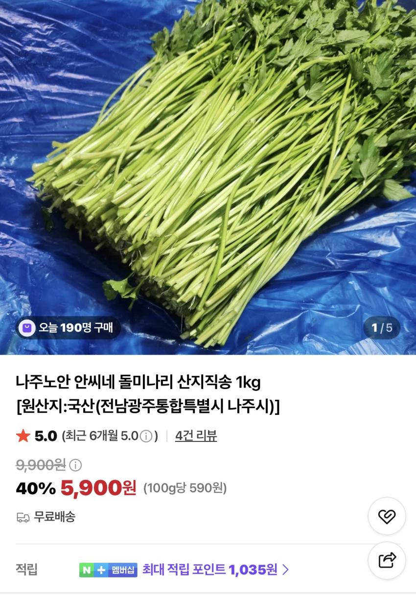 전남나주 돌미나리 산지직송 1kg 5,900원