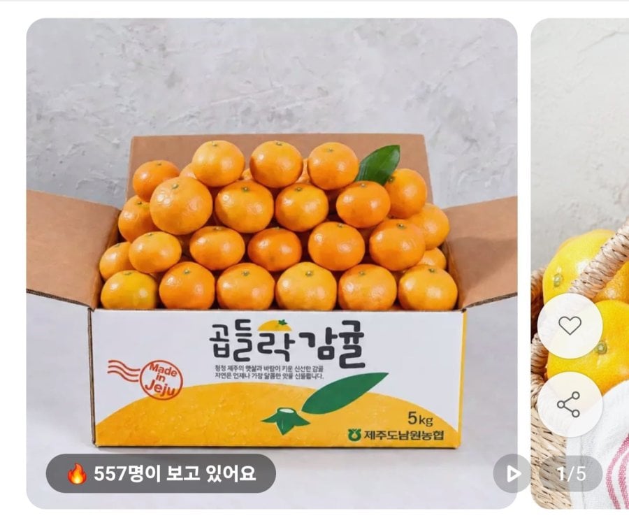 제주 노지 감귤 4.5kg 소과 (9,720원/무료)