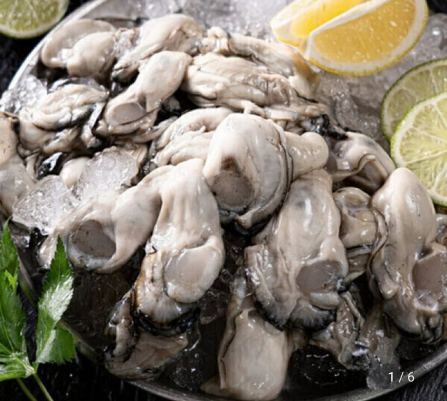 통영 생굴 2kg 산지직송 생굴 회초장 증정 (1kgX2팩) (20,980원/무료)