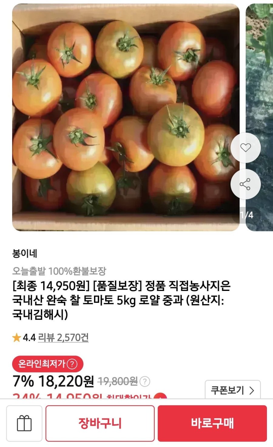 국내산 완숙 찰 토마토 5kg 로얄 중과 (카카페 16,040/무배)