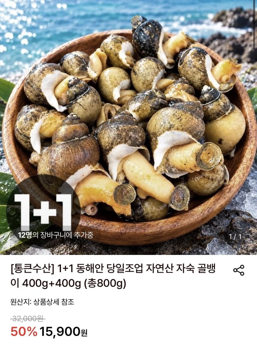 동해안 당일조업 자연산 자숙 골뱅이 400g + 400g (15,900원/무료)