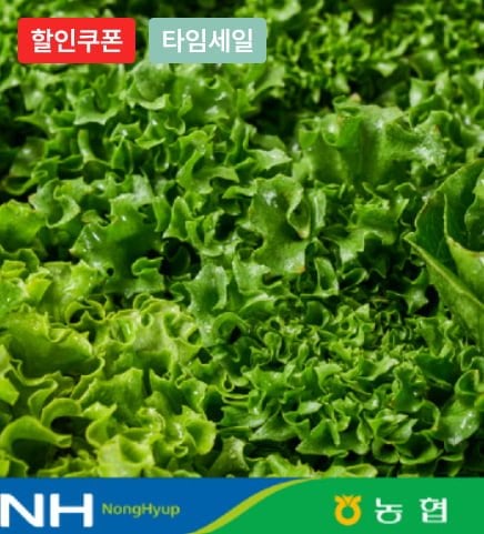 유러피안 샐러드 채소 대용량 1kg 야채믹스 (6,320원/무료)