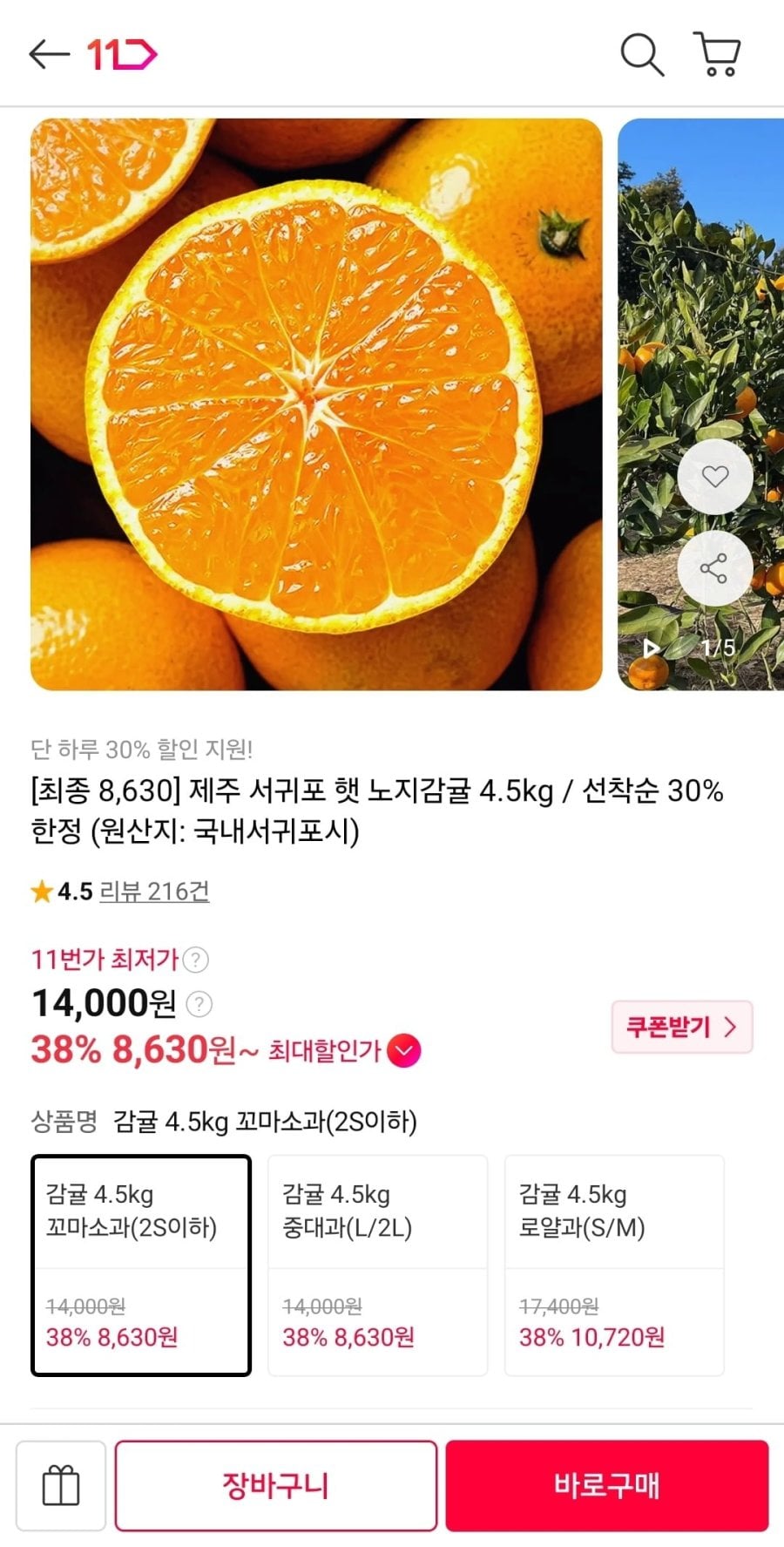 제주 서귀포 햇 노지감귤 4.5kg (8,630원/무료)