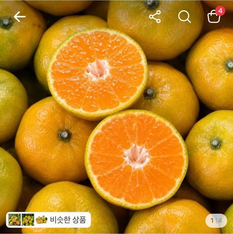 감귤 대과 5kg (4,920원/무료)