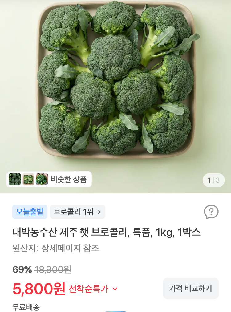 제주 햇 브로콜리 특품 1kg 5800원