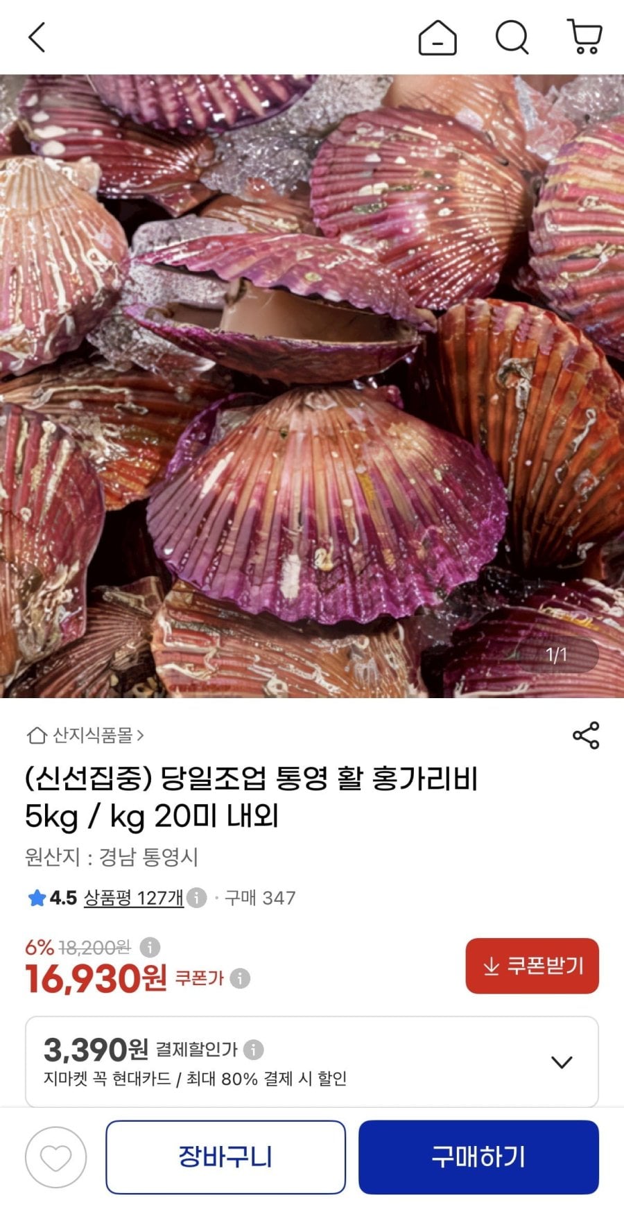 통영 활 홍가리비 5kg (16,930원/무료)