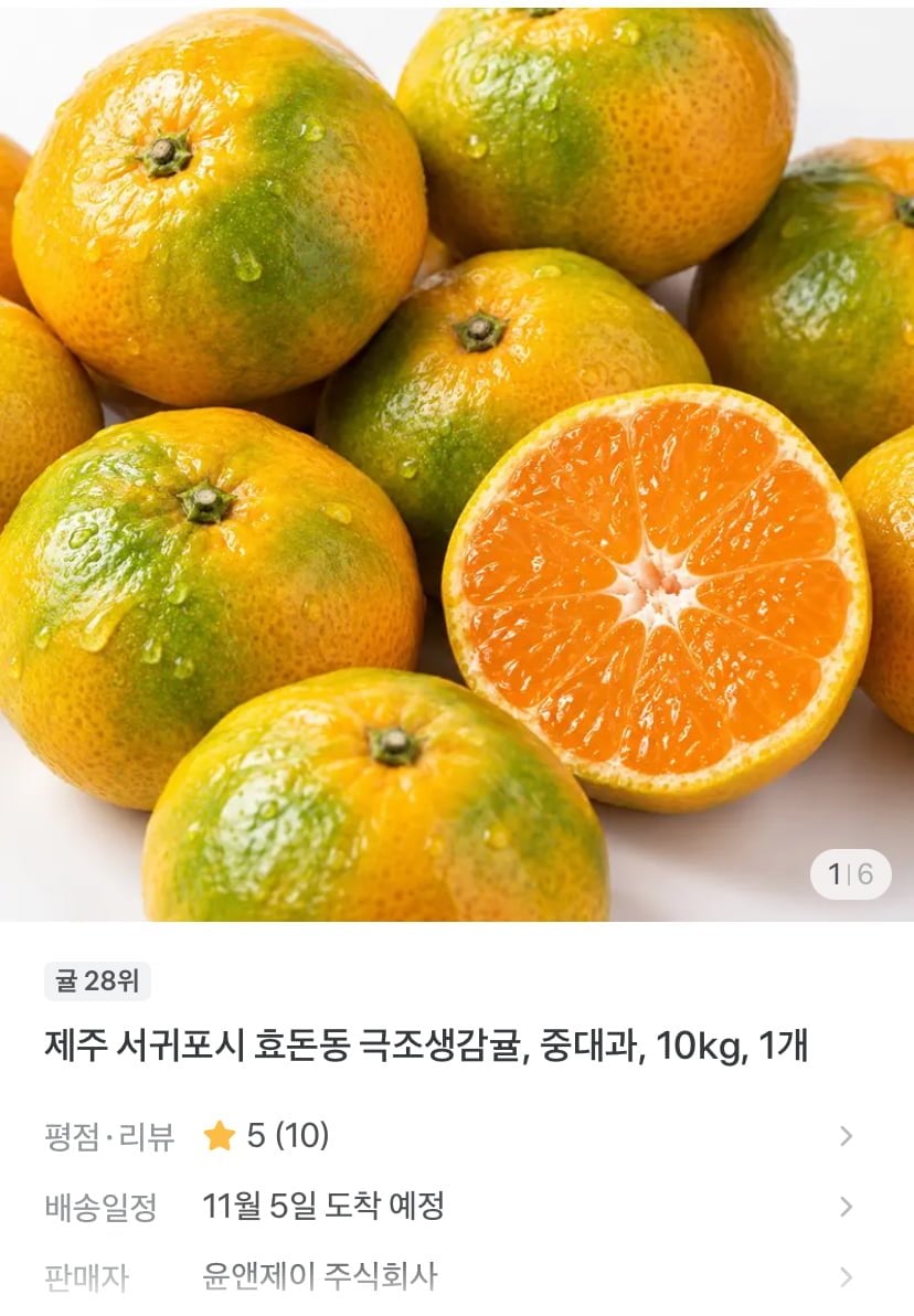 제주 효돈동 감귤 중대과 10kg (10,900원/무배)