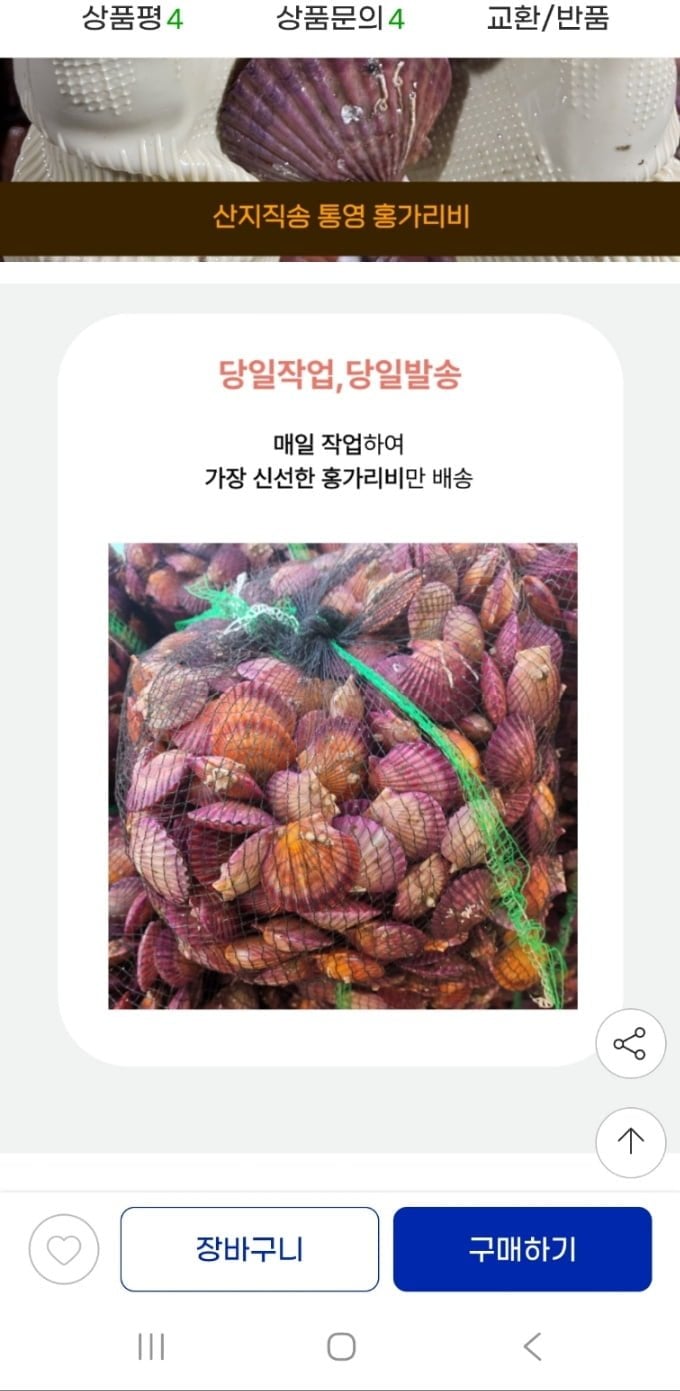 홍가리비 3kg+홍합 1kg 증정(13,970원/무배)