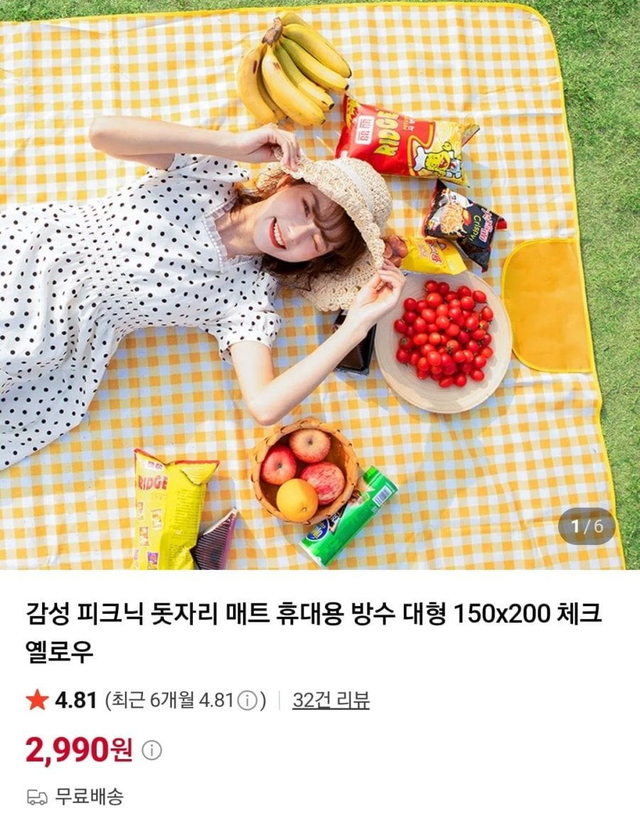 휴대용 방수 피크닉 돗자리 (2,990원/무료)