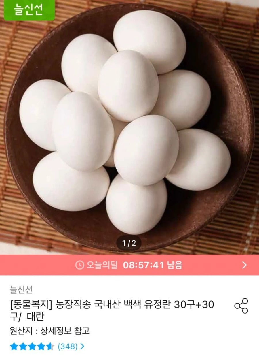 동물복지 유정란 60구 대란 (16,997원) (무료)