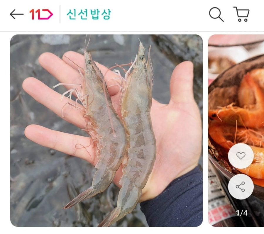26년 흰다리 새우 1kg 28미 내외 (16,710원/무료)