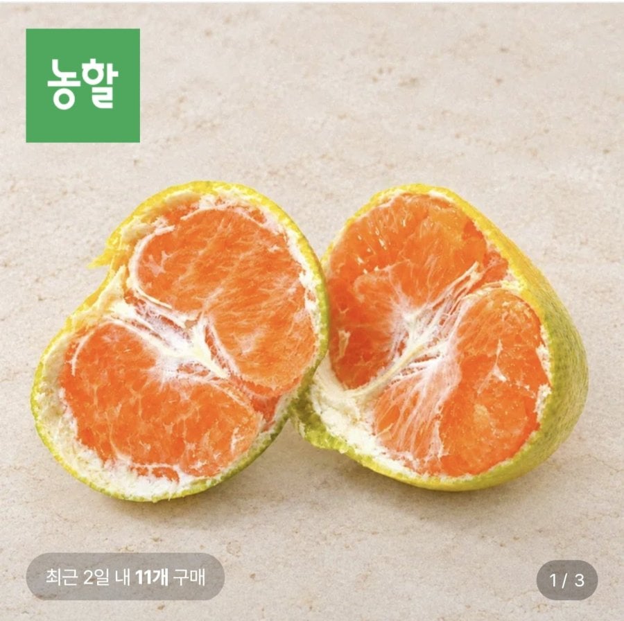 제주 극조생 노지감귤 4.5kg 로얄과 (9,150원/무료)