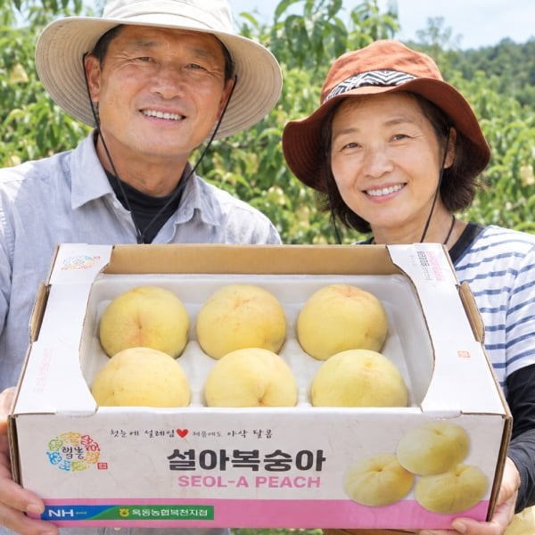 설아 백도 복숭아 1.5kg (18,900원 / 무배)