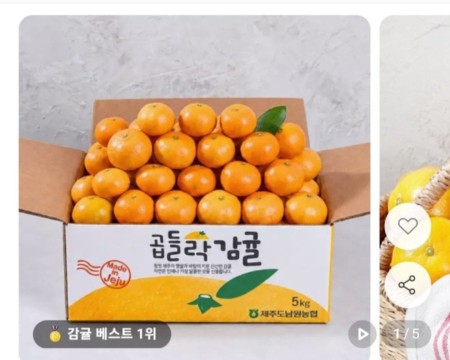노지감귤 4.5kg (9,720원~/무료)
