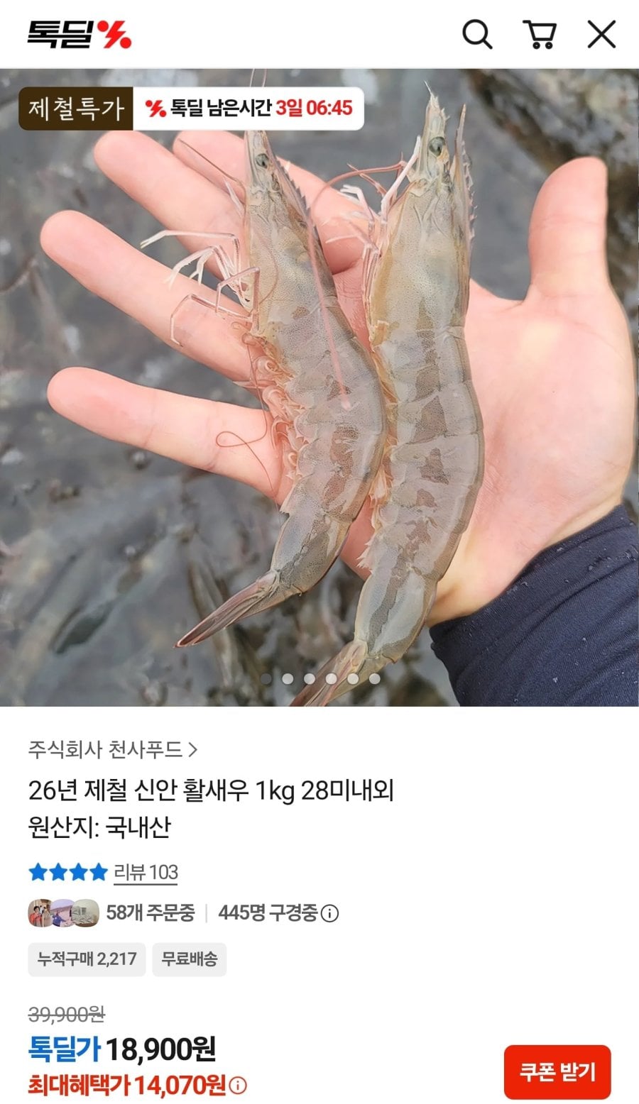 26년 제철 신안 활새우 1kg 28미내외 (14,070원/무료)