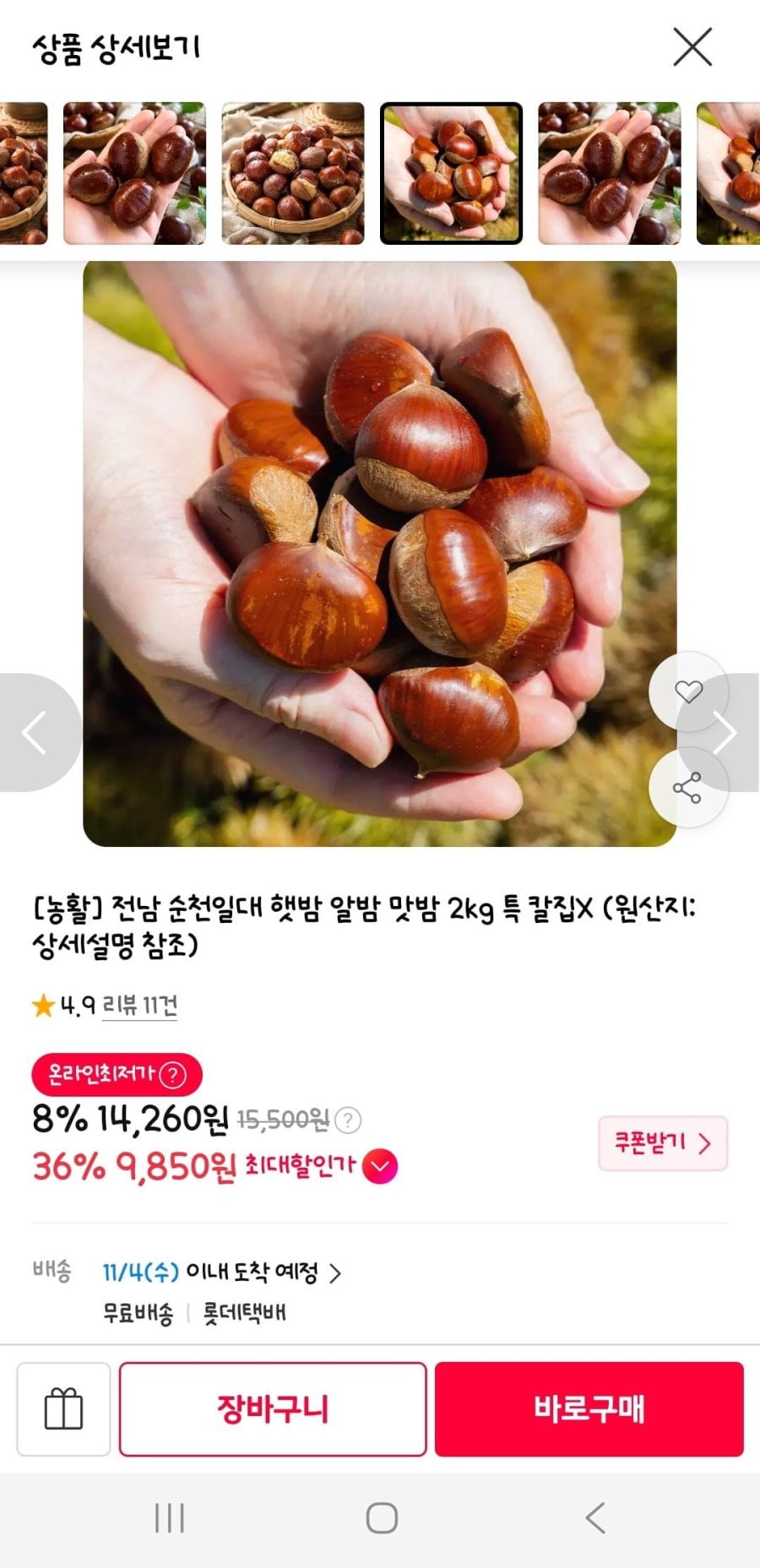 순천 알밤 특 2kg(9,850원/무배)