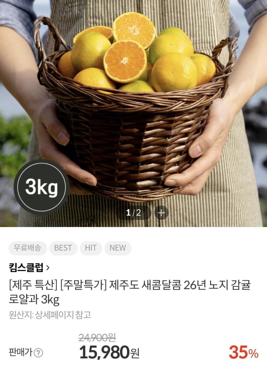 제주도 26년 노지 감귤 로얄과 3kg (15,980원/무료)