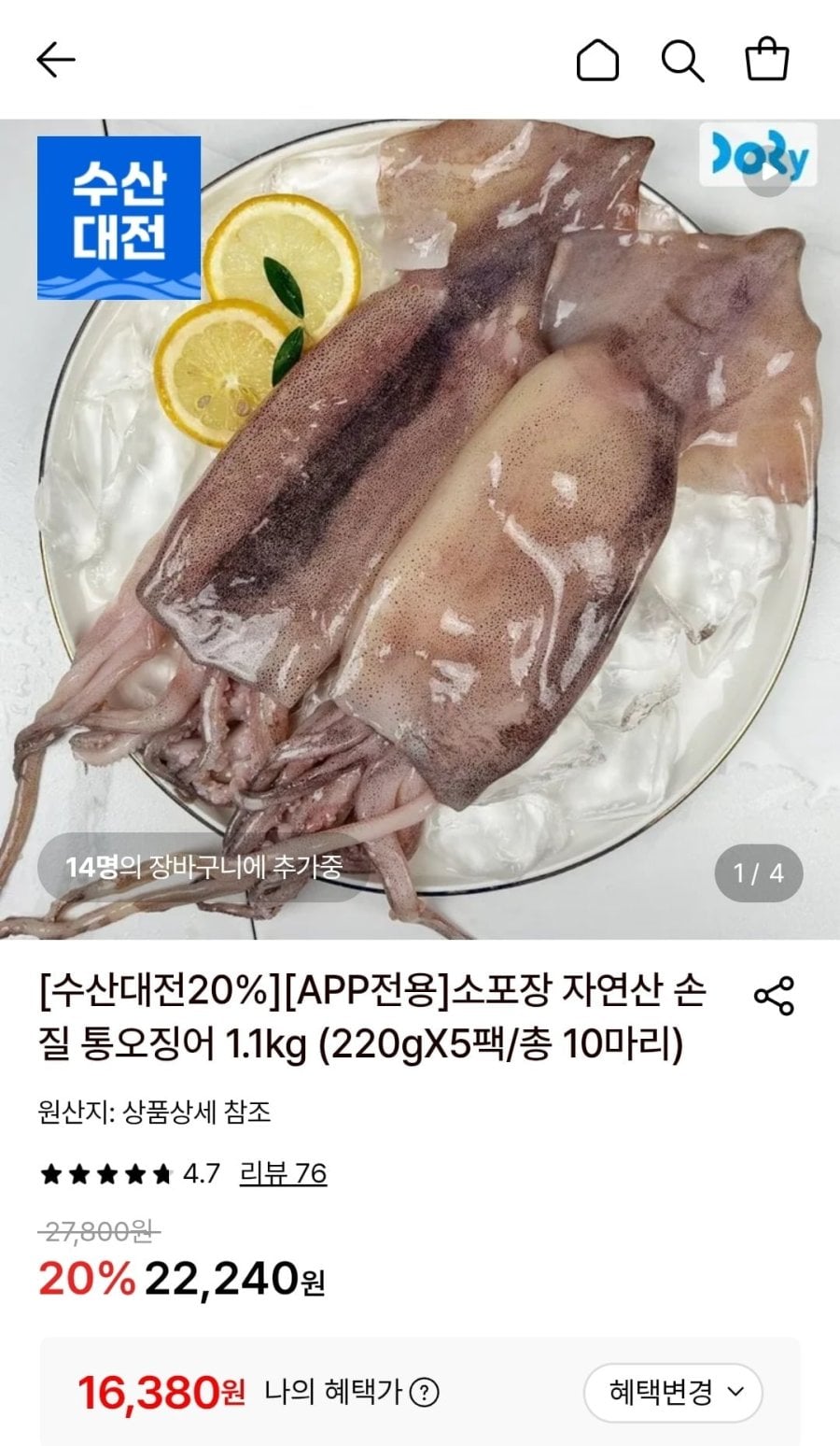 소포장 자연산 손질 통오징어 1.1kg (16,380원/무료)